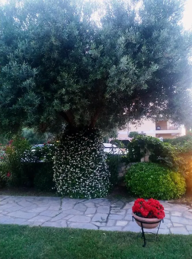 Studios Galanis Άφυτος